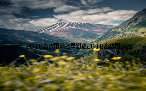 一、2018畜牧展商名录概述2018畜牧展商名录涵盖了我国畜牧行业内的众多知名企业, 包括养殖设备、饲料、兽药、屠宰加工等多个领域