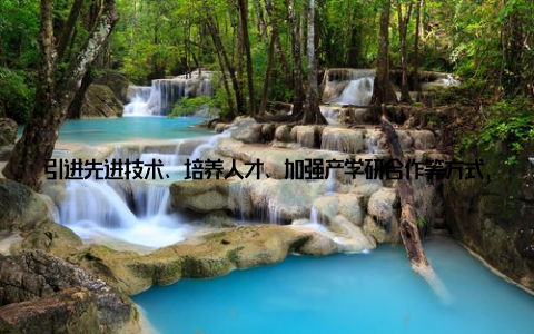引进先进技术、培养人才、加强产学研合作等方式, 推动畜牧产业转型升级 优化市场环境, 规范市场秩政府加强市场监管, 优化市场环境, 规范市场秩序