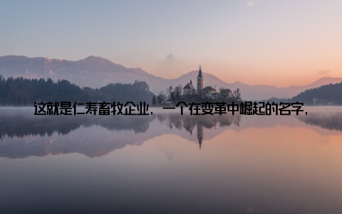 这就是仁寿畜牧企业, 一个在变革中崛起的名字, 一个以创新养殖模式推动农业现代化发展的典范 仁寿畜牧企业梦想的牧场, 青春的舞想象一下, 一片绿意盎然的牧场, 牛羊欢腾, 鸟语花香