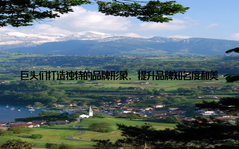 巨头们打造独特的品牌形象, 提升品牌知名度和美誉度, 吸引消费者 全球化布局 随着全球化的推进, 巨头们纷纷拓展海外市场, 实现全球布局