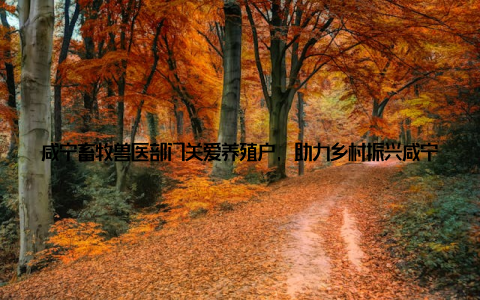 咸宁畜牧兽医部门关爱养殖户, 助力乡村振兴咸宁畜牧兽医部门不仅关注养殖安全, 还积极关爱养殖户, 助力乡村振兴