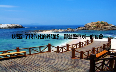 我看到了现代化的养殖场, 那些整齐划一的猪舍、鸡舍, 还有那些高科技的饲料生产线, 让我对现代畜牧业充满了期待