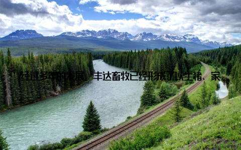 经过多年的发展, 丰达畜牧已经形成了以生猪、家禽、水产养殖为主, 集饲料生产、加工、销售于一体的全产业链