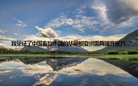 我见证了中国畜牧市场的华丽蜕变供需两端齐发力, 共促产业升级嘿, 大家好! 今天我要和大家分享一个我亲身经历的故事, 关于我国畜牧市场的华丽蜕变