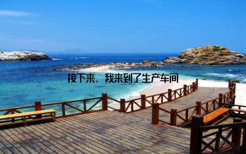 接下来, 我来到了生产车间