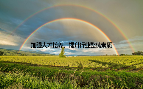 加强人才培养, 提升行业整体素质