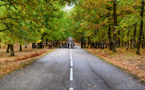 畜牧产业带动就业, 助力脱贫攻坚