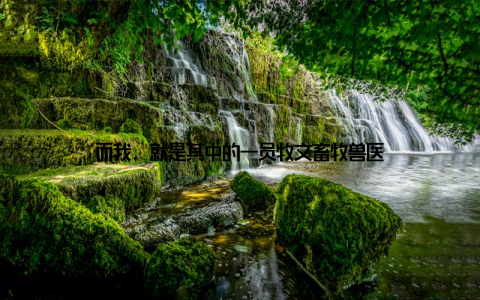 而我, 就是其中的一员牧文畜牧兽医