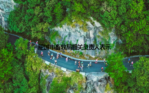 肥城市畜牧局相关负责人表示