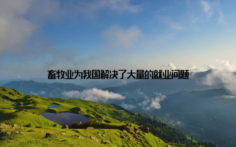 畜牧业为我国解决了大量的就业问题