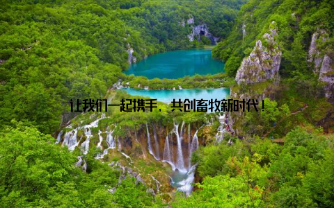 让我们一起携手, 共创畜牧新时代!