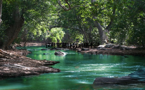 这些黑幕让我心痛不已