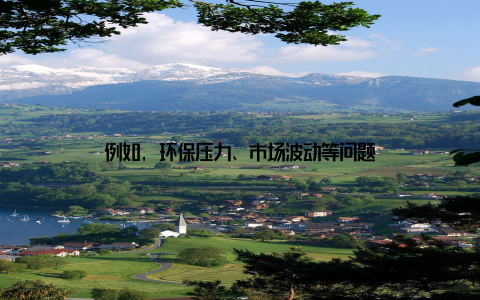 例如, 环保压力、市场波动等问题