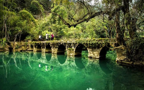 养殖技术是提高羊业效益的关键