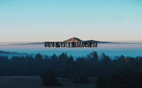 阎萍畜牧注重品牌建设