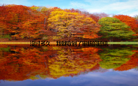 没过多久, 我就收到了审核的短信