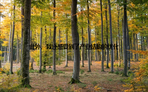 此外, 我还感受到了产业结构的优化