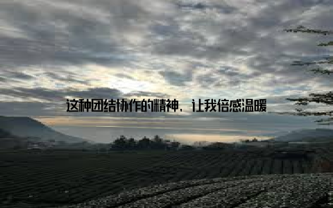 这种团结协作的精神, 让我倍感温暖