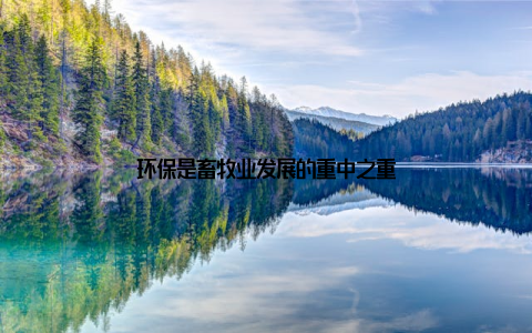 环保是畜牧业发展的重中之重