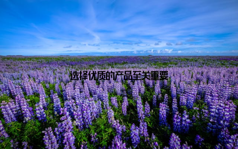选择优质的产品至关重要