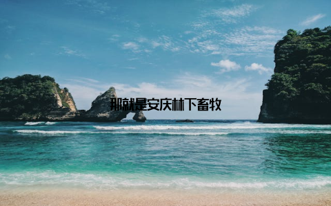 那就是安庆林下畜牧