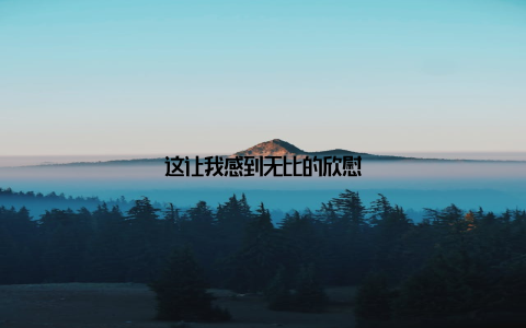 这让我感到无比的欣慰