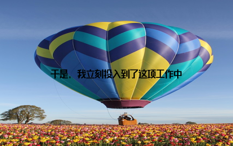 于是, 我立刻投入到了这项工作中