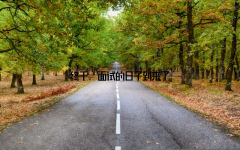 终于, 面试的日子到来了