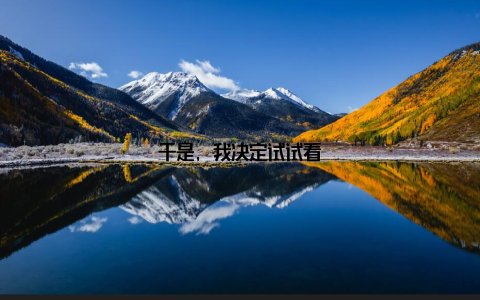 于是, 我决定试试看