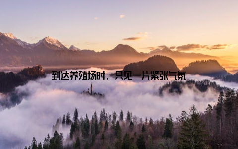 到达养殖场时, 只见一片紧张气氛