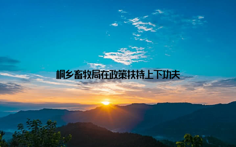 桐乡畜牧局在政策扶持上下功夫