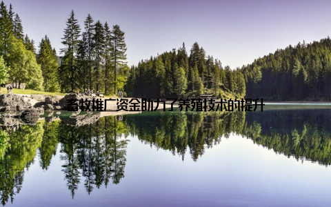 畜牧推广资金助力了养殖技术的提升