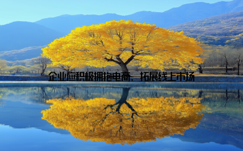 企业应积极拥抱电商, 拓展线上市场