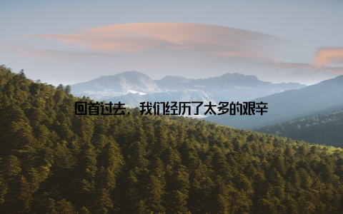 回首过去, 我们经历了太多的艰辛