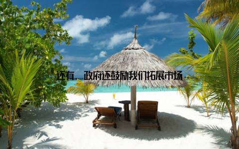 还有, 政府还鼓励我们拓展市场