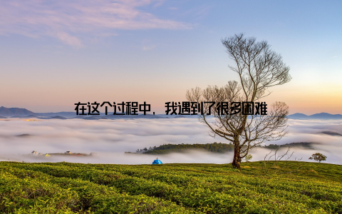 在这个过程中, 我遇到了很多困难