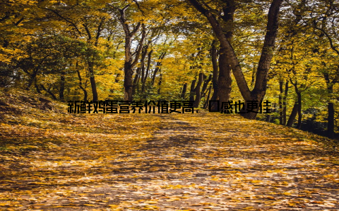 新鲜鸡蛋营养价值更高, 口感也更佳