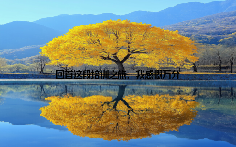 回首这段培训之旅, 我感慨万分