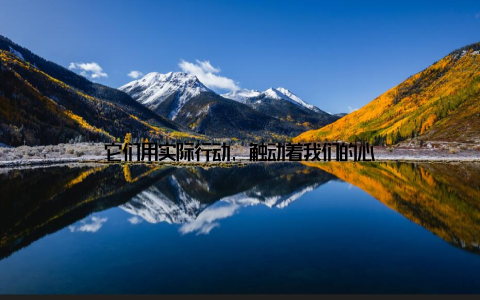 它们用实际行动, 触动着我们的心