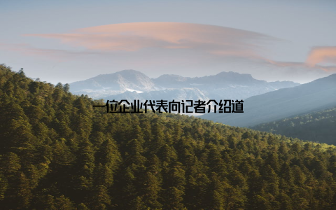 一位企业代表向记者介绍道