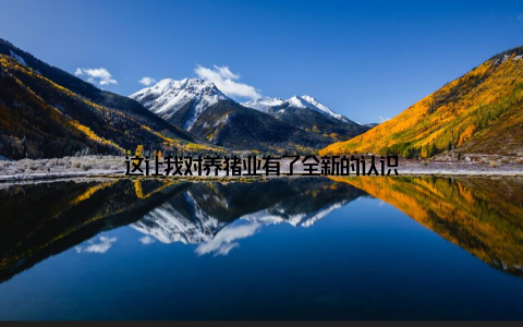 这让我对养猪业有了全新的认识