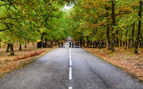 看着这一切, 我感到无比欣慰