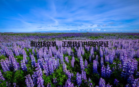 而这场变革, 正是我们共同的见证