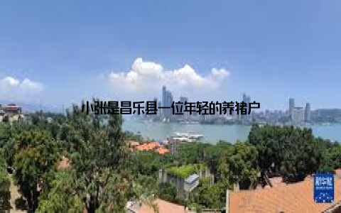 小张是昌乐县一位年轻的养猪户