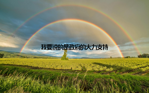 我要说的是政府的大力支持