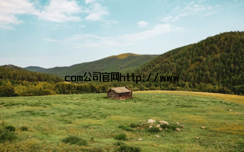 com公司官网http://www