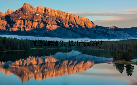 加强品牌建设, 提升产品竞争力