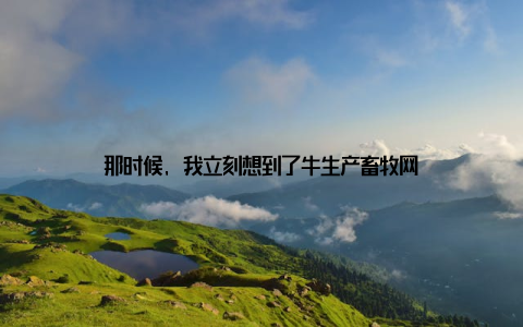 那时候, 我立刻想到了牛生产畜牧网