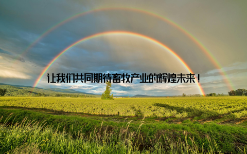 让我们共同期待畜牧产业的辉煌未来!