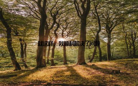 就这样, 我顺利解决了问题